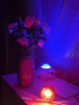 Photo #1