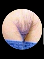 Photo #1
