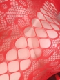 Photo #2