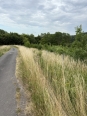 Photo #1