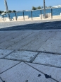 Photo #1