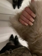 Photo #1