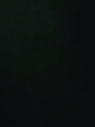 Photo #1