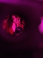 Photo #1