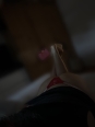 Photo #1
