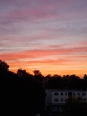 Photo #1