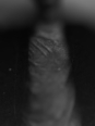 Photo #1