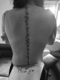 Photo #1